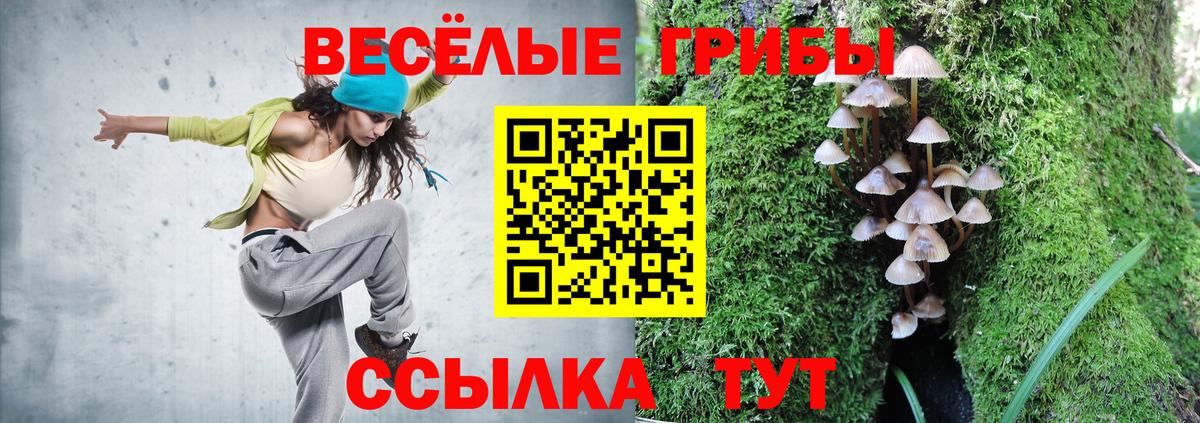 Псилоцибиновые грибы ЛСД  Вход с VPN  Псилоцибиновые грибы Cubensis  Кохма 
